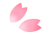 淡い色合いの桜の花びら