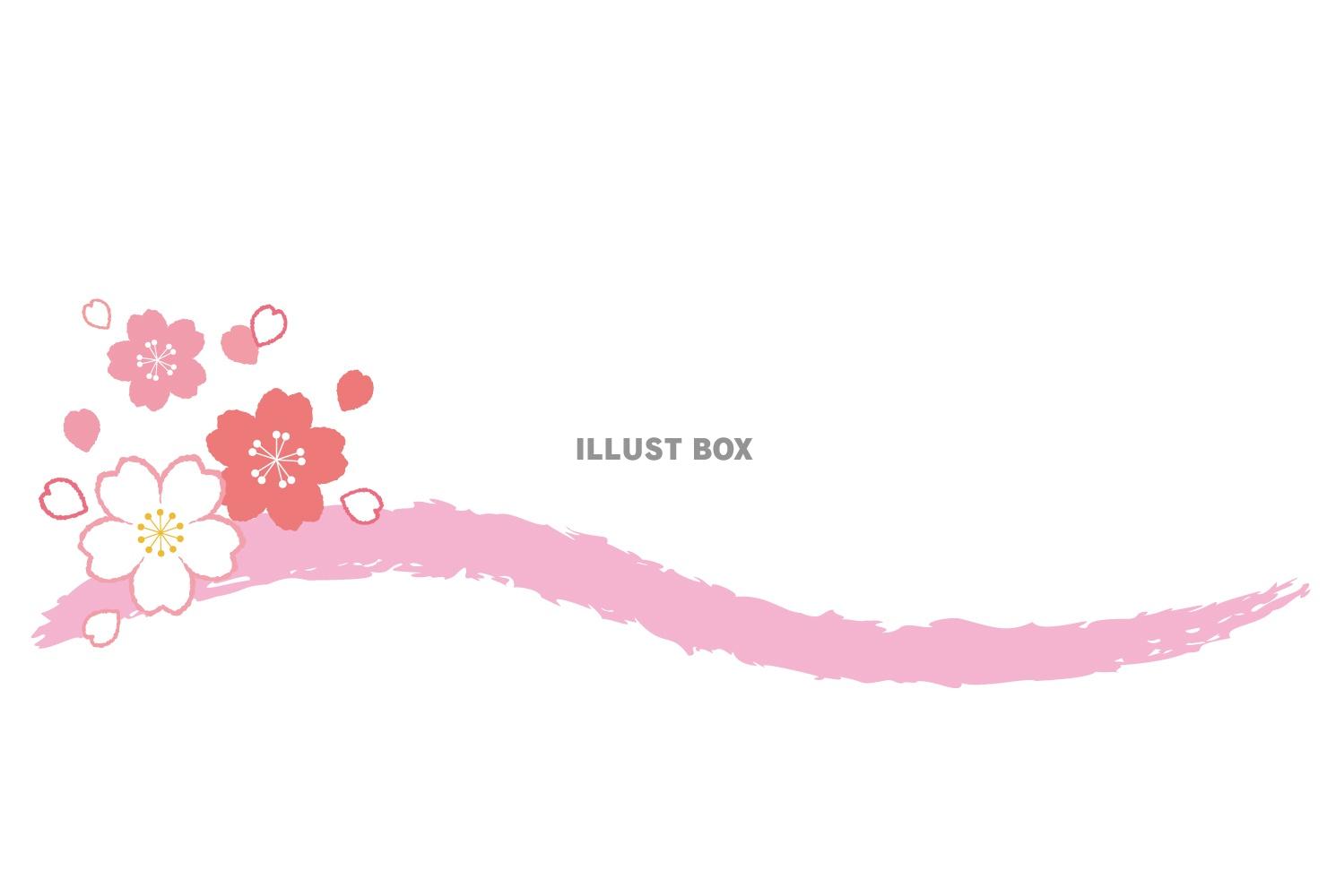 桜と筆ラインの飾り罫/ピンク