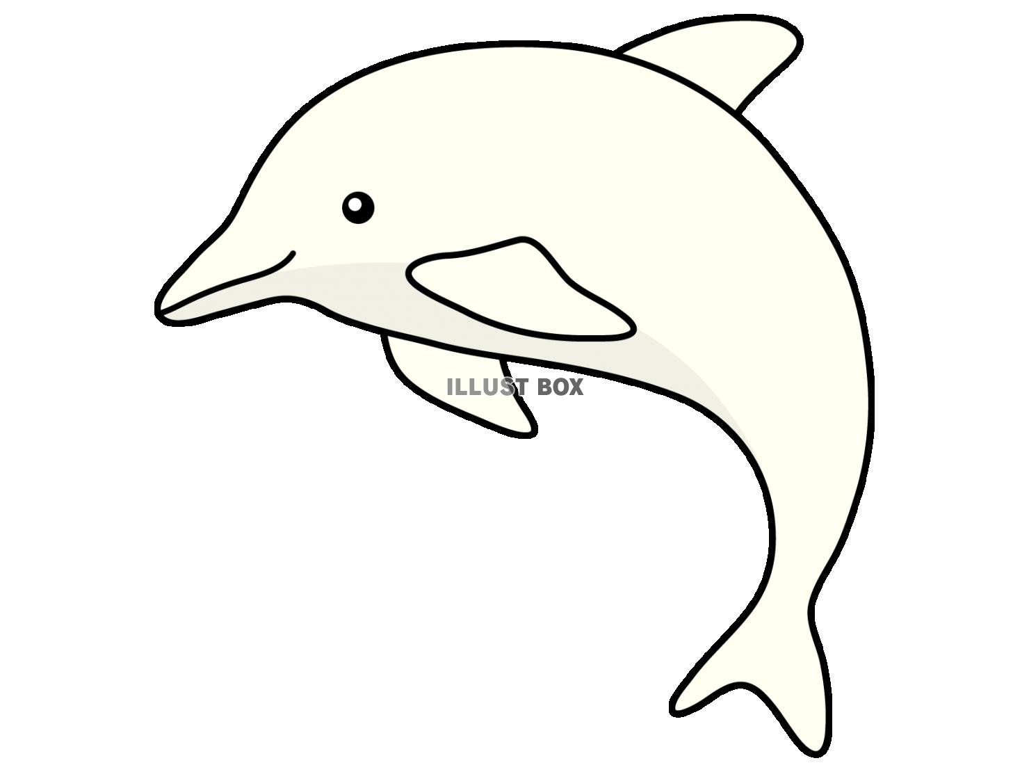 可愛いシンプルなシロイルカのアイコン・透過PNG