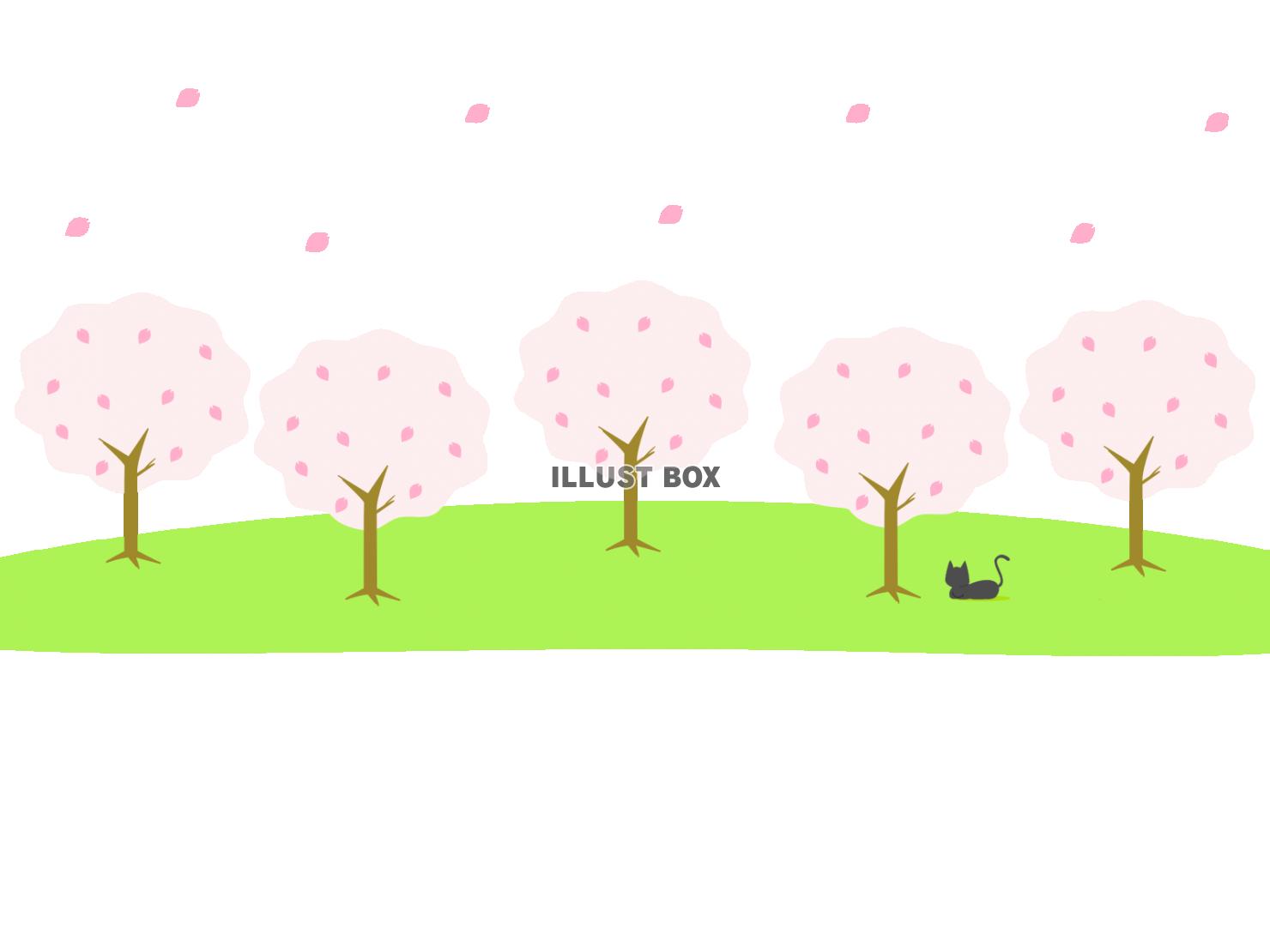 桜並木と猫のイラスト