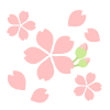 はなびら舞う桜素材　透過png