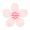 薄ピンク色さくらの花　透過png