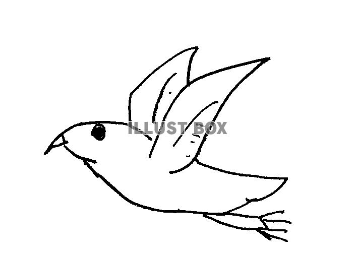 素材「鳥」