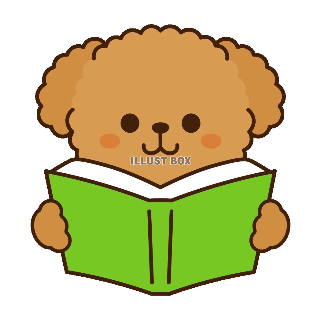 本を読むトイプードル