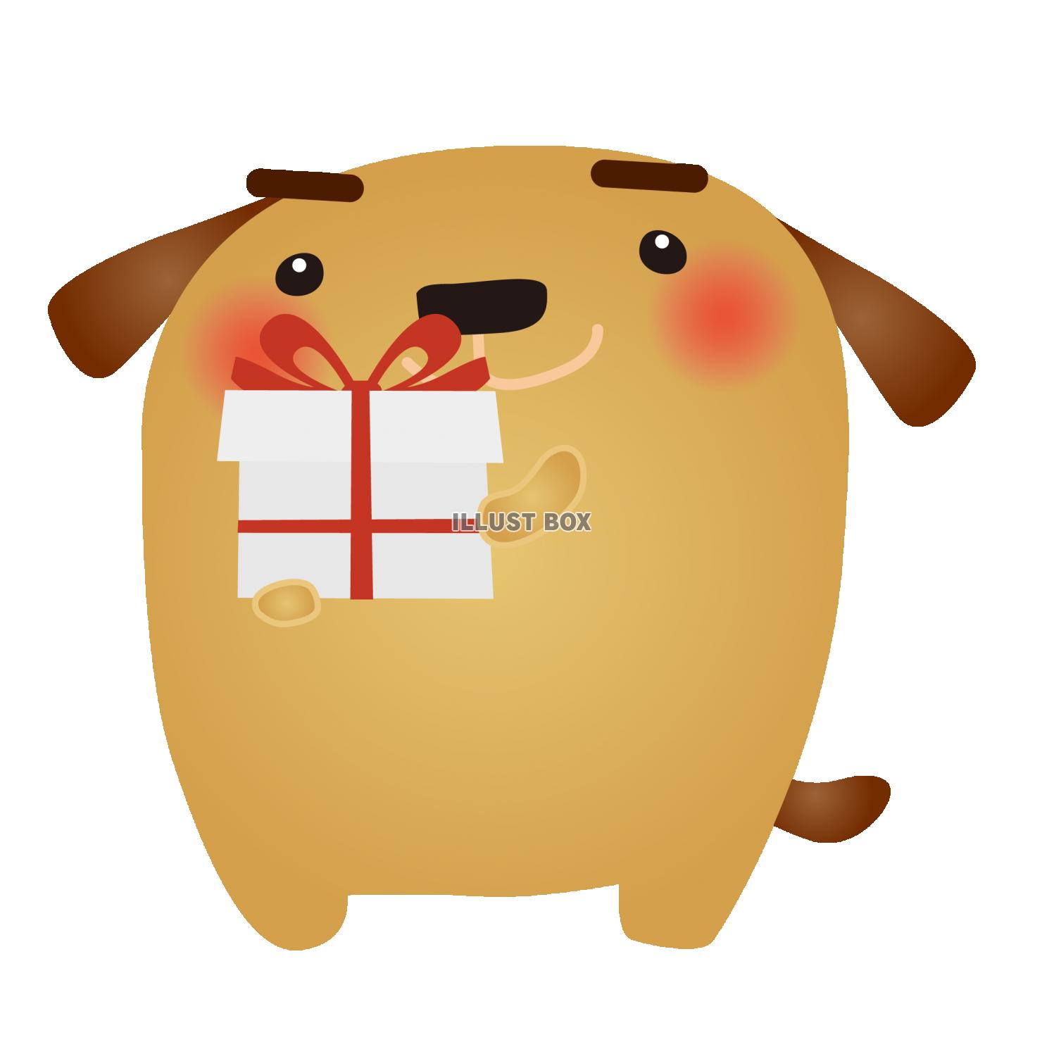 茶犬プレゼントボックス