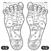 人間の身体★足裏の反射区★足つぼ★文字あり