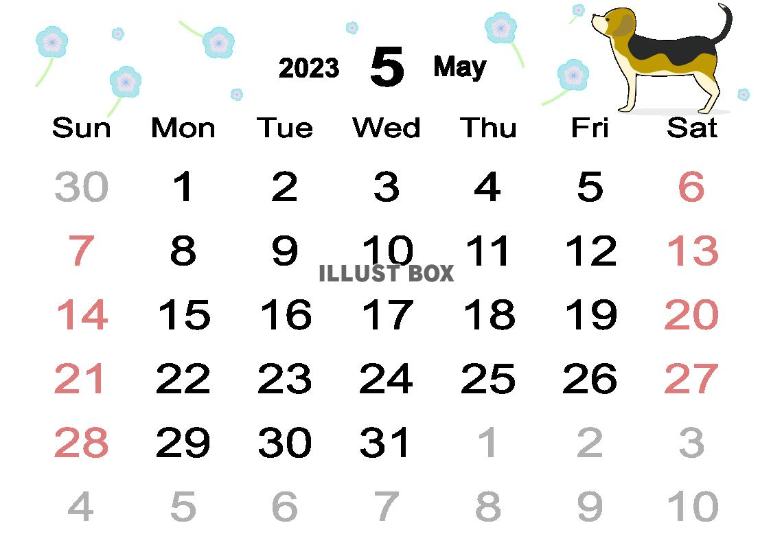 ２０２３年５月のシンプルカレンダー　ネモフィラと犬