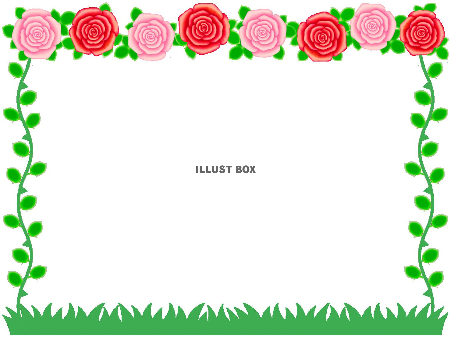 薔薇の花模様フレームシンプル飾り枠素材イラスト透過png