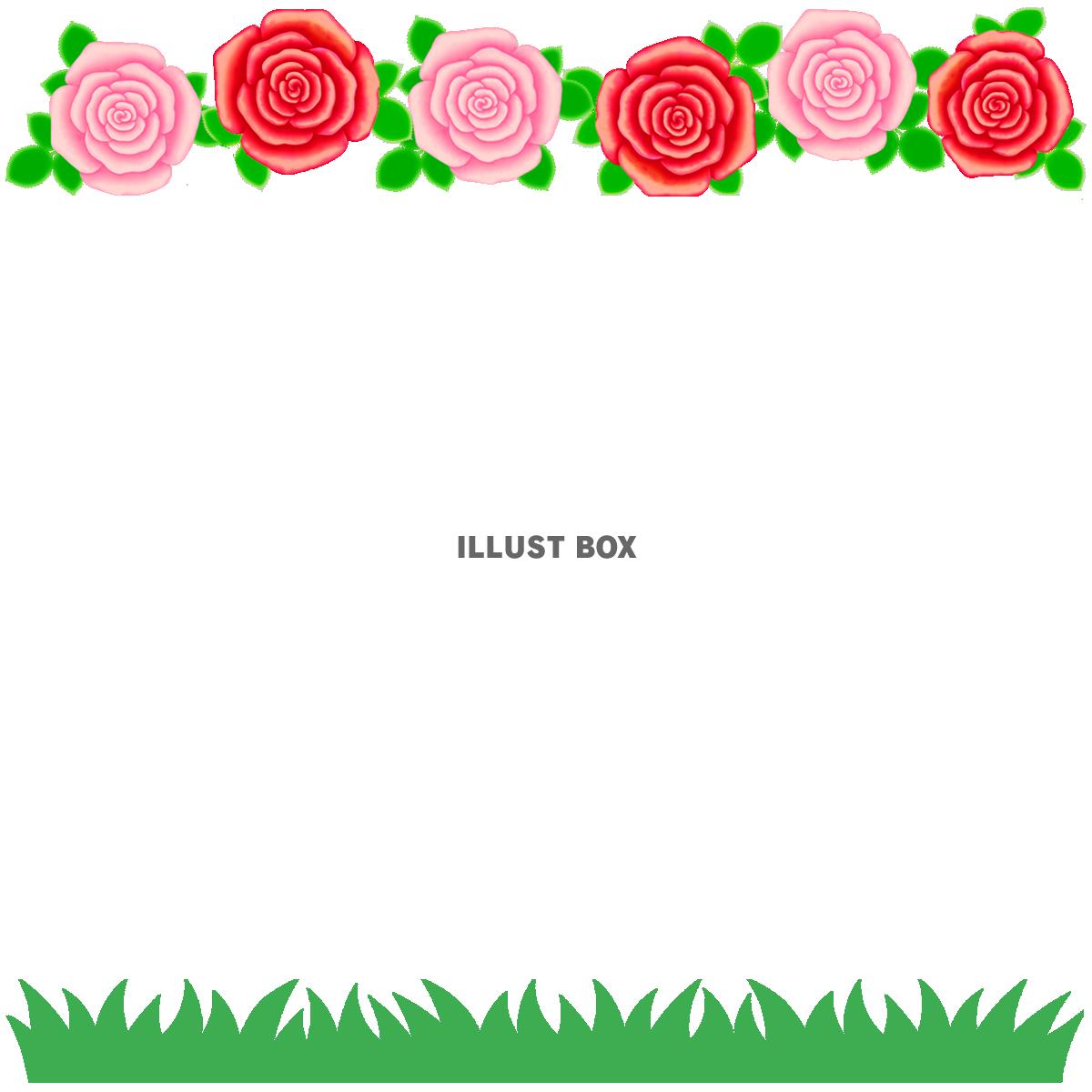 薔薇の花模様フレームシンプル飾り枠素材イラスト透過png　