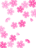 桜の花模様壁紙画像シンプル背景素材イラスト透過png