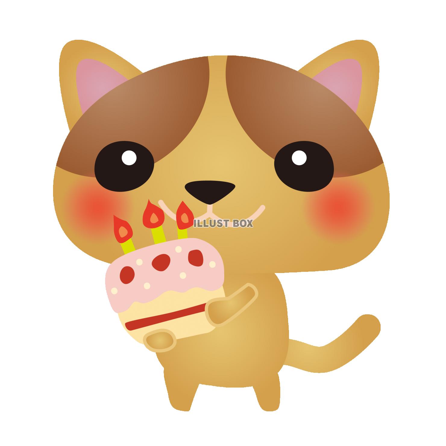 茶猫ハピバケーキ