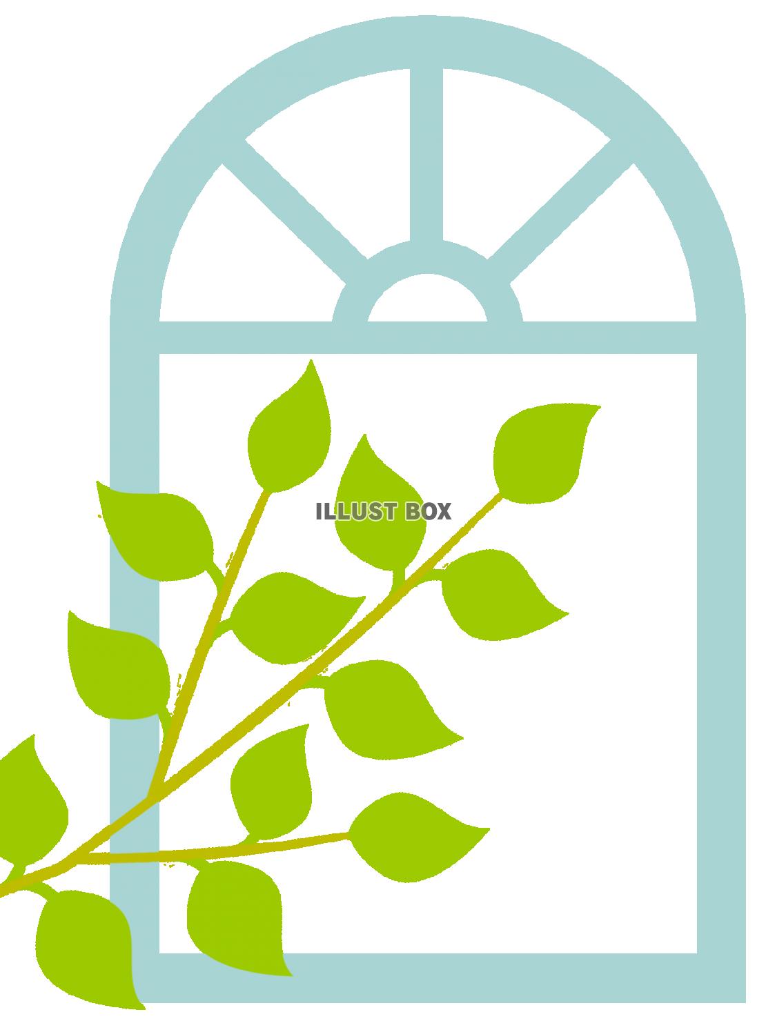 新緑の木の葉っぱ壁紙画像シンプル背景素材イラスト透過png