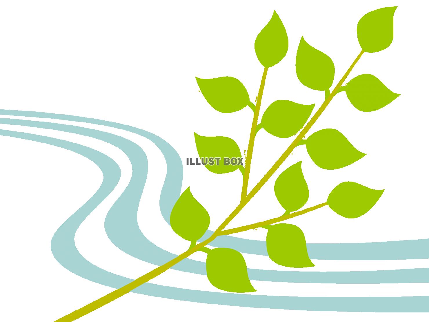新緑の木の葉っぱ壁紙画像シンプル背景素材イラスト透過png