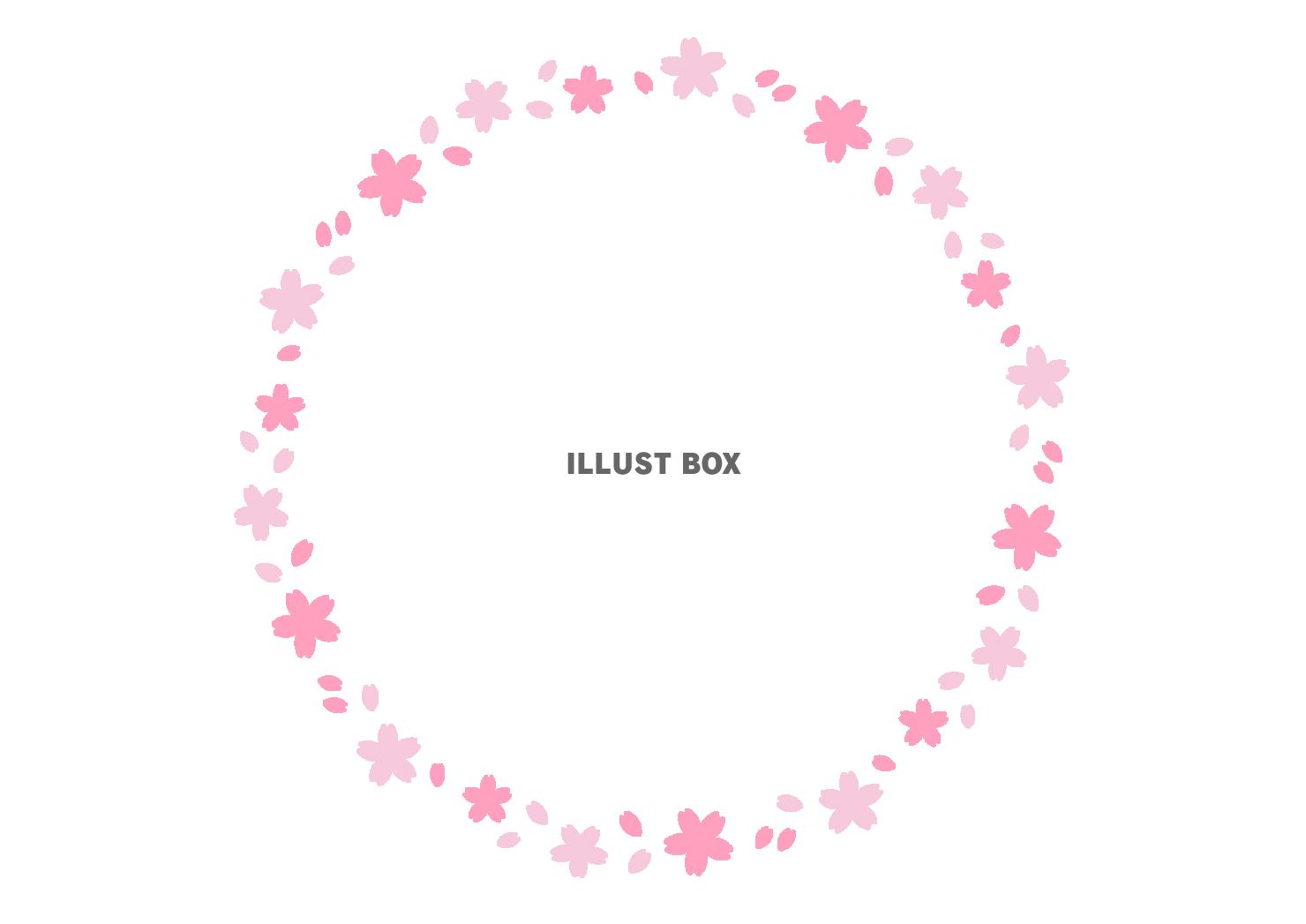 5_枠_桜の花と花びら・円