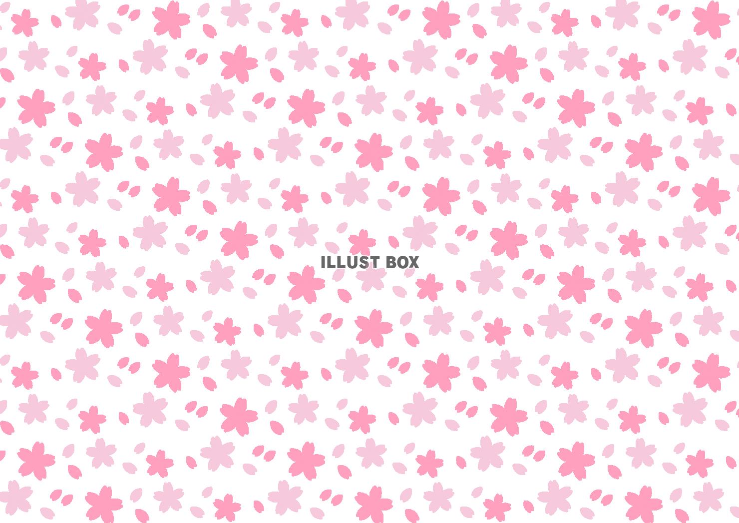 8_背景_桜の花と花びら