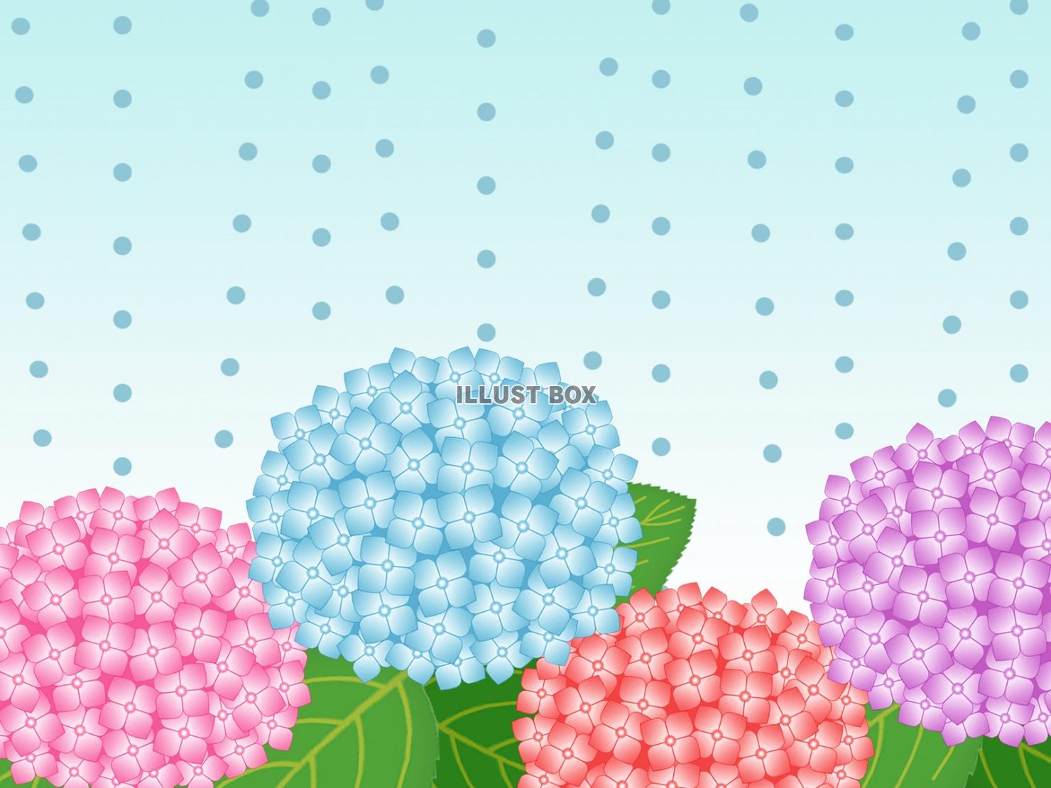 雨降りの紫陽花壁紙画像シンプル背景素材イラスト