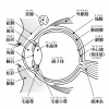 人間の身体★目の構造★眼球★文字あり