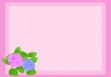 紫陽花　ピンク　グラデ