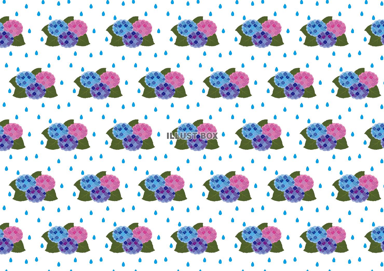 2_背景_夏・6月・花・アジサイ・雨
