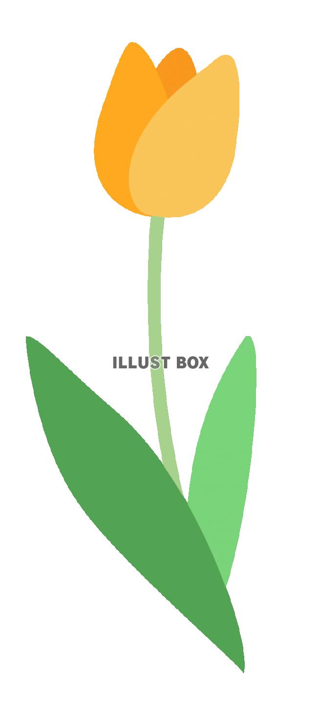 シンプルなチューリップの花　黄色　春のイラスト　透過PNG