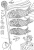 子供の日の塗り絵