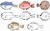 筆絵の魚のセット