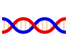 二重らせん（遺伝子）のシンプルなアイコン素材・透過PNG