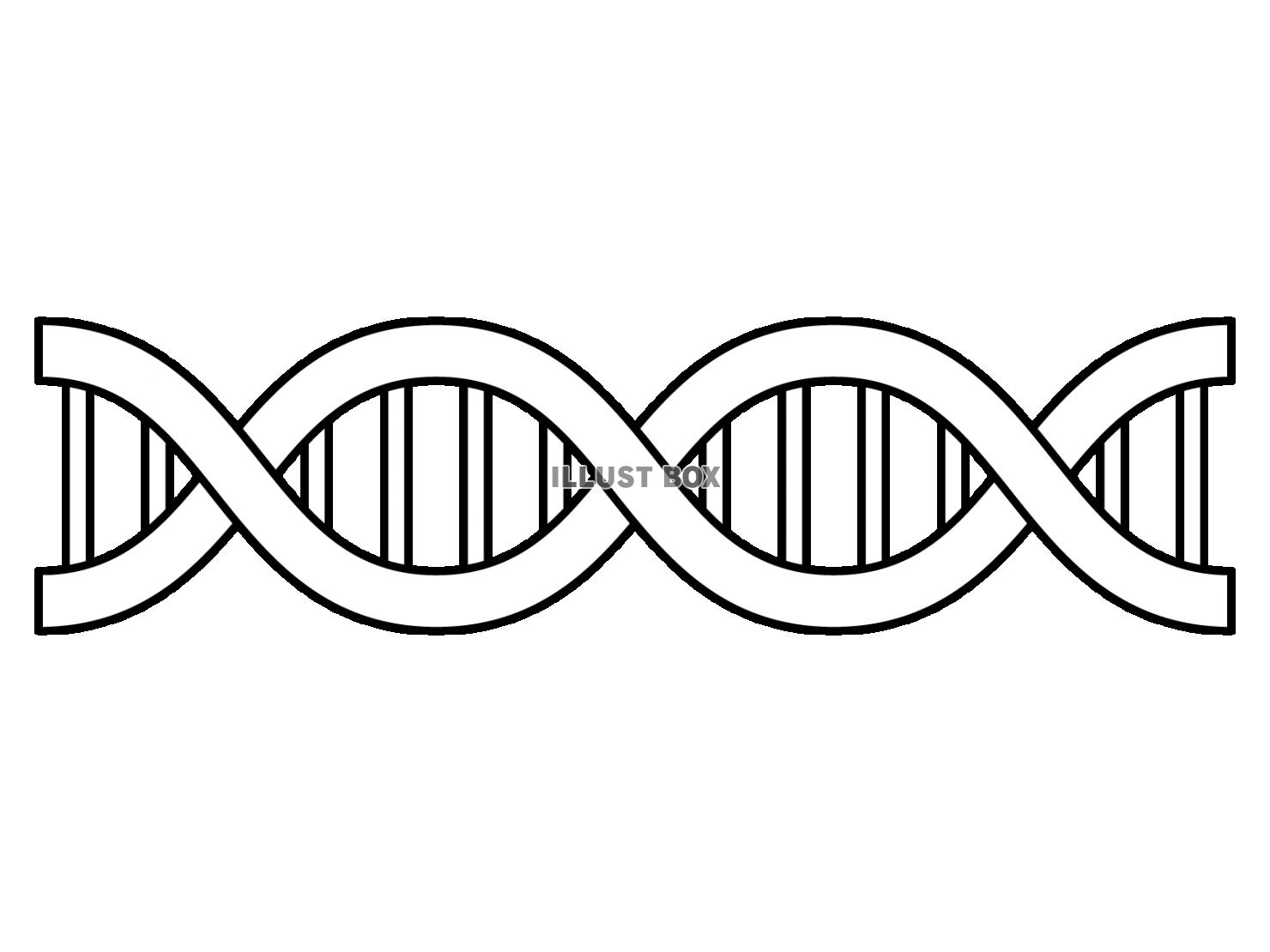 二重らせん（遺伝子）の線画アイコン素材・透過PNG