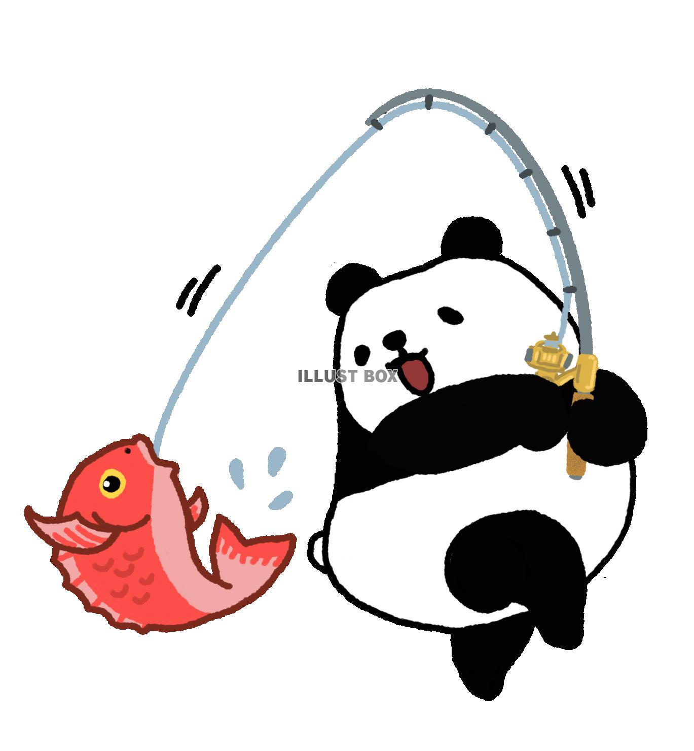 パンダシリーズ　海釣り　釣れた！