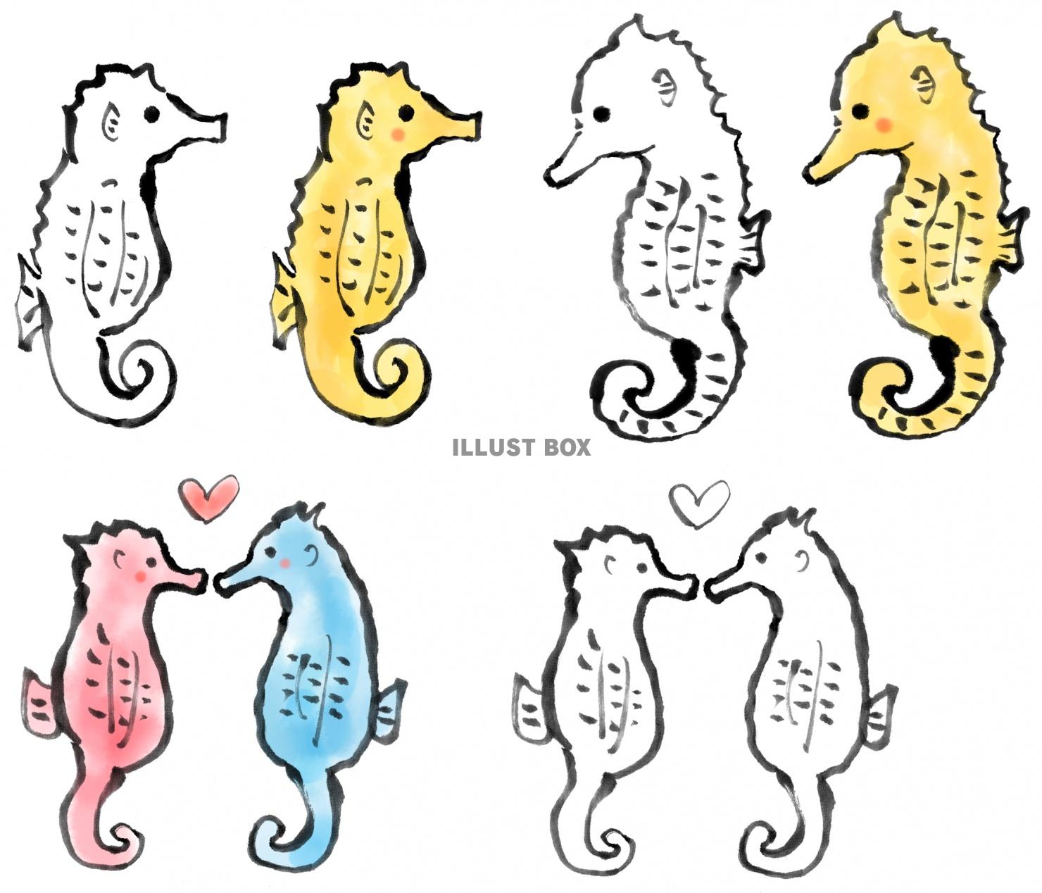 筆絵のタツノオトシゴのセット