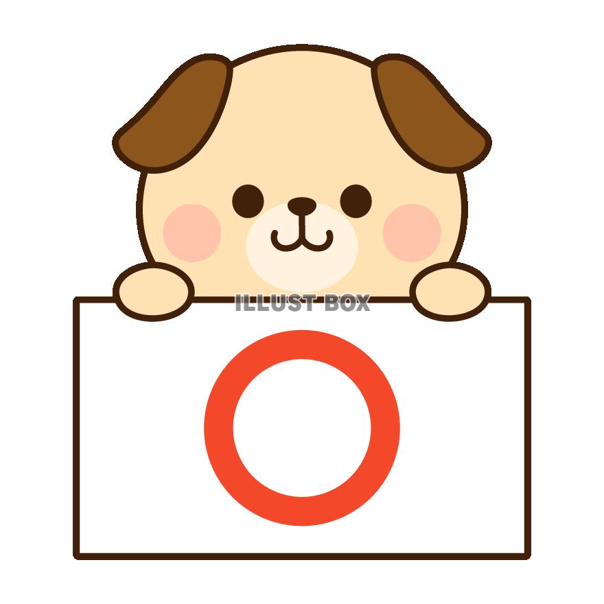 マルのボードをもつ犬
