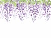 藤の花_紫フレーム