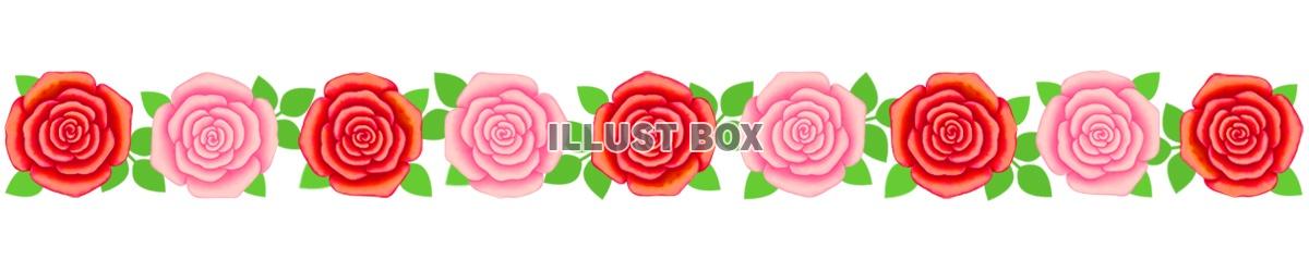 薔薇の花模様ライン素材シンプル飾り罫線イラスト