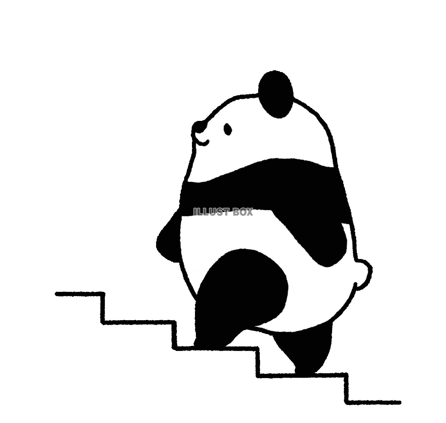 パンダシリーズ　階段を登る