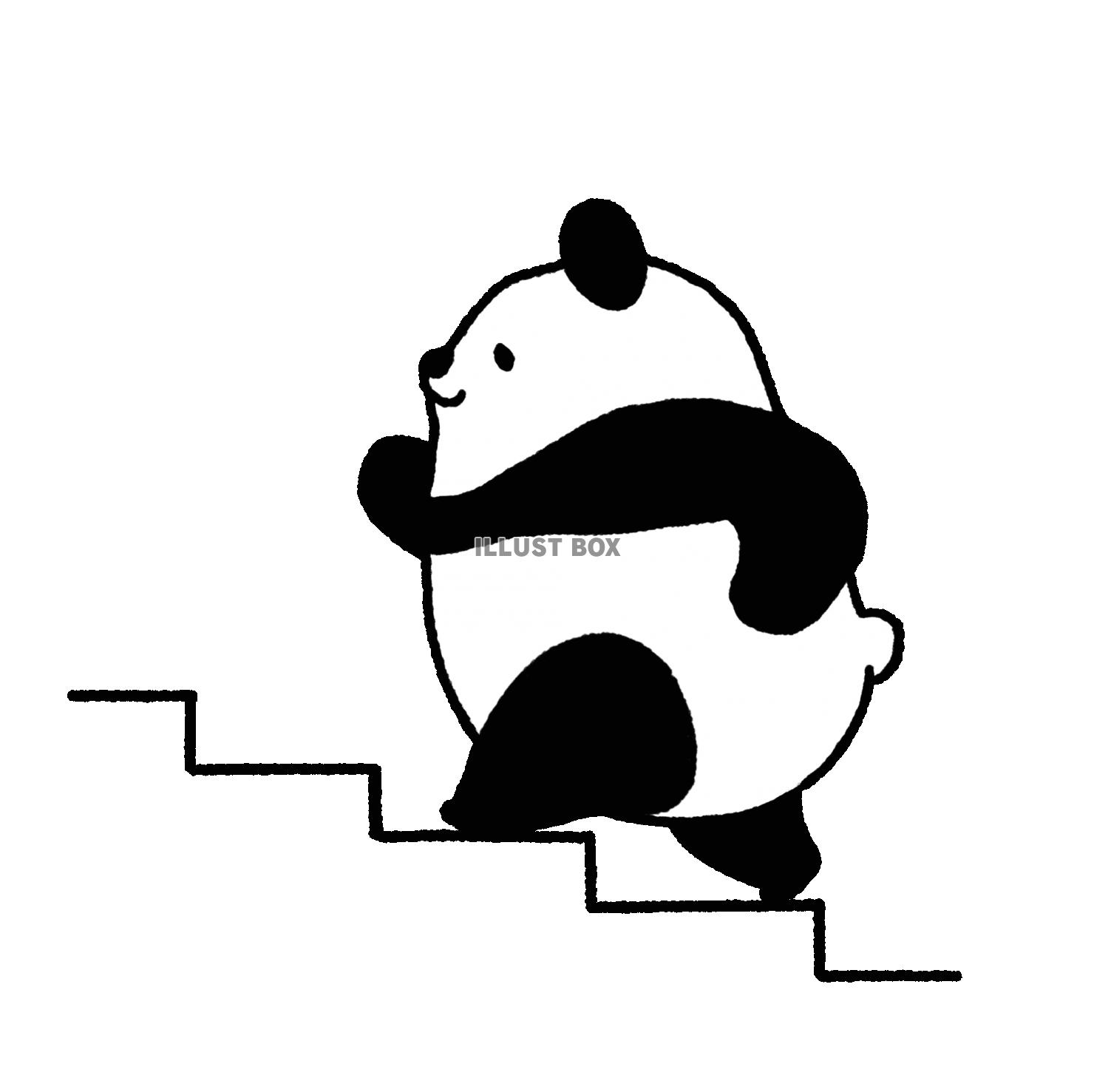 パンダシリーズ　階段を駆け上がる