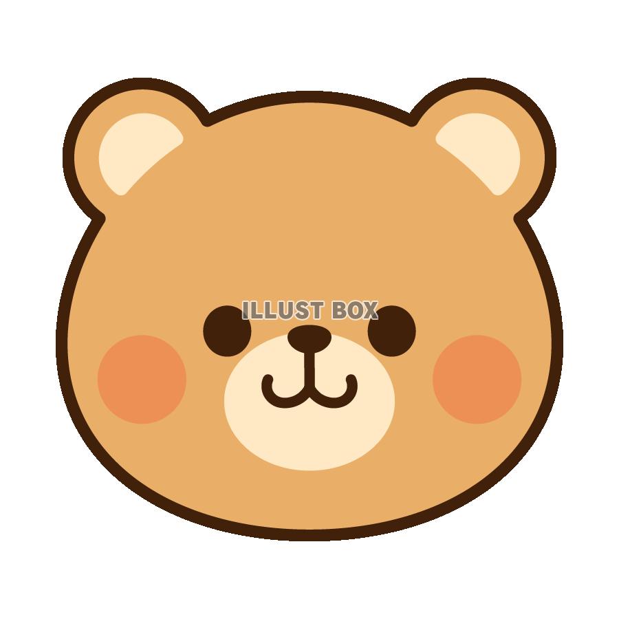 クマ　顔