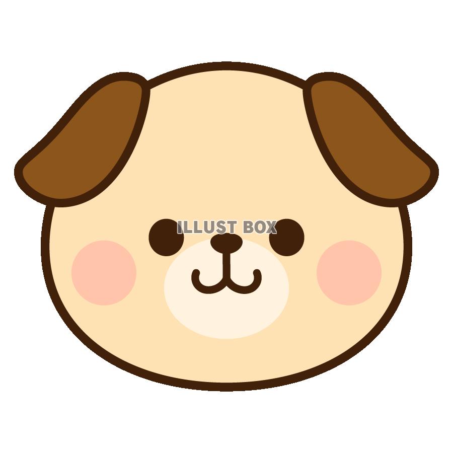 犬　顔