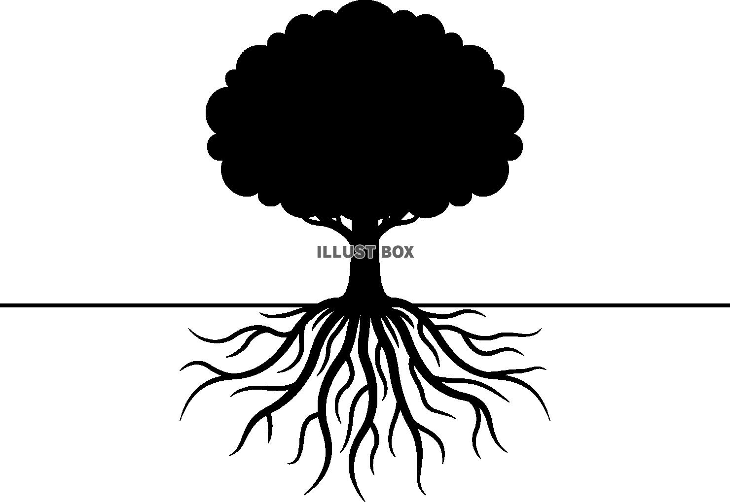 樹木と地中の根の断面図シルエット