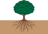 樹木と地中の根の断面図
