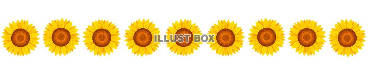 向日葵の花模様ライン素材シンプル飾り罫線イラスト