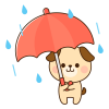 傘をさす犬　雨