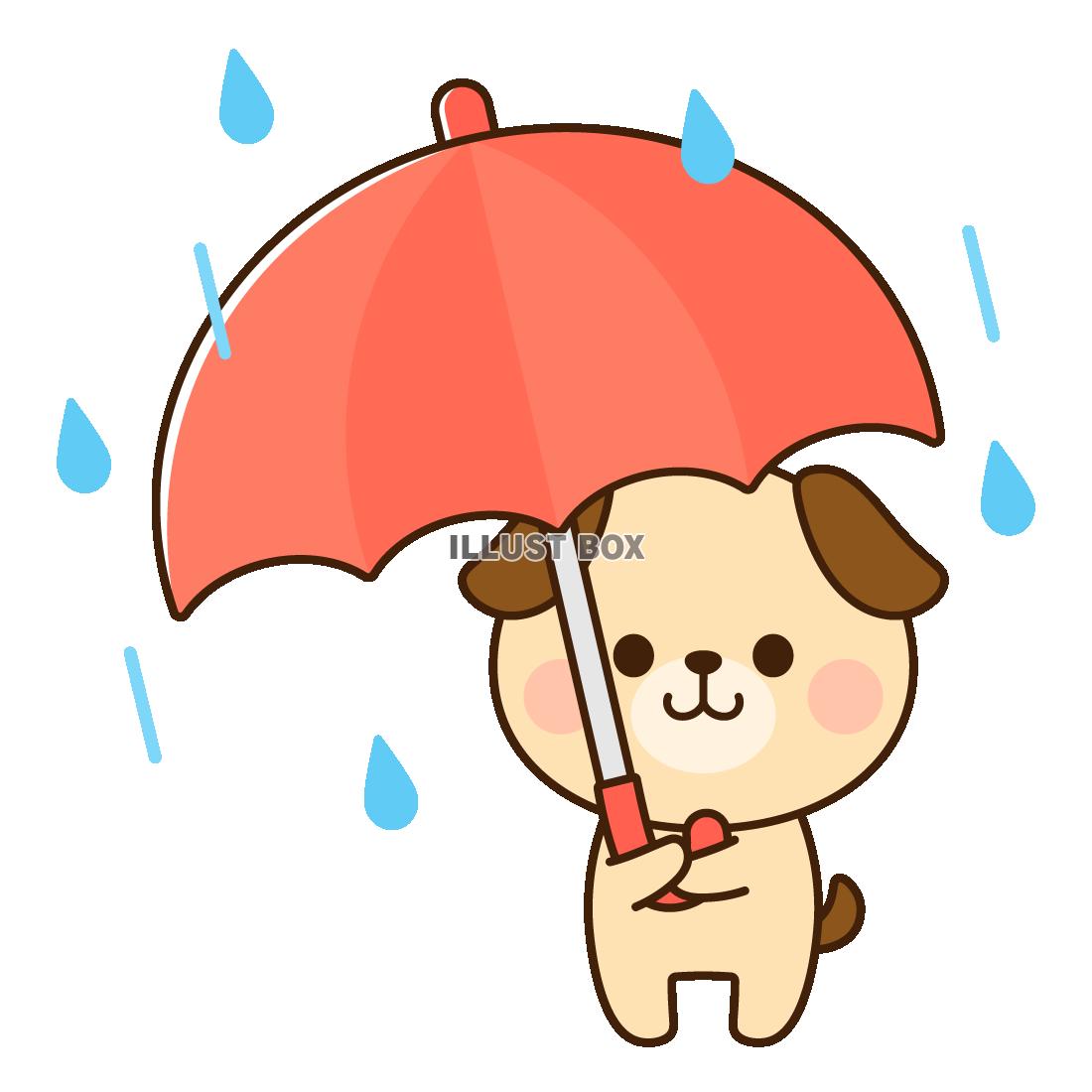 傘をさす犬　雨