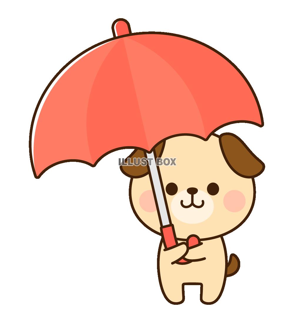 赤い傘をさす犬