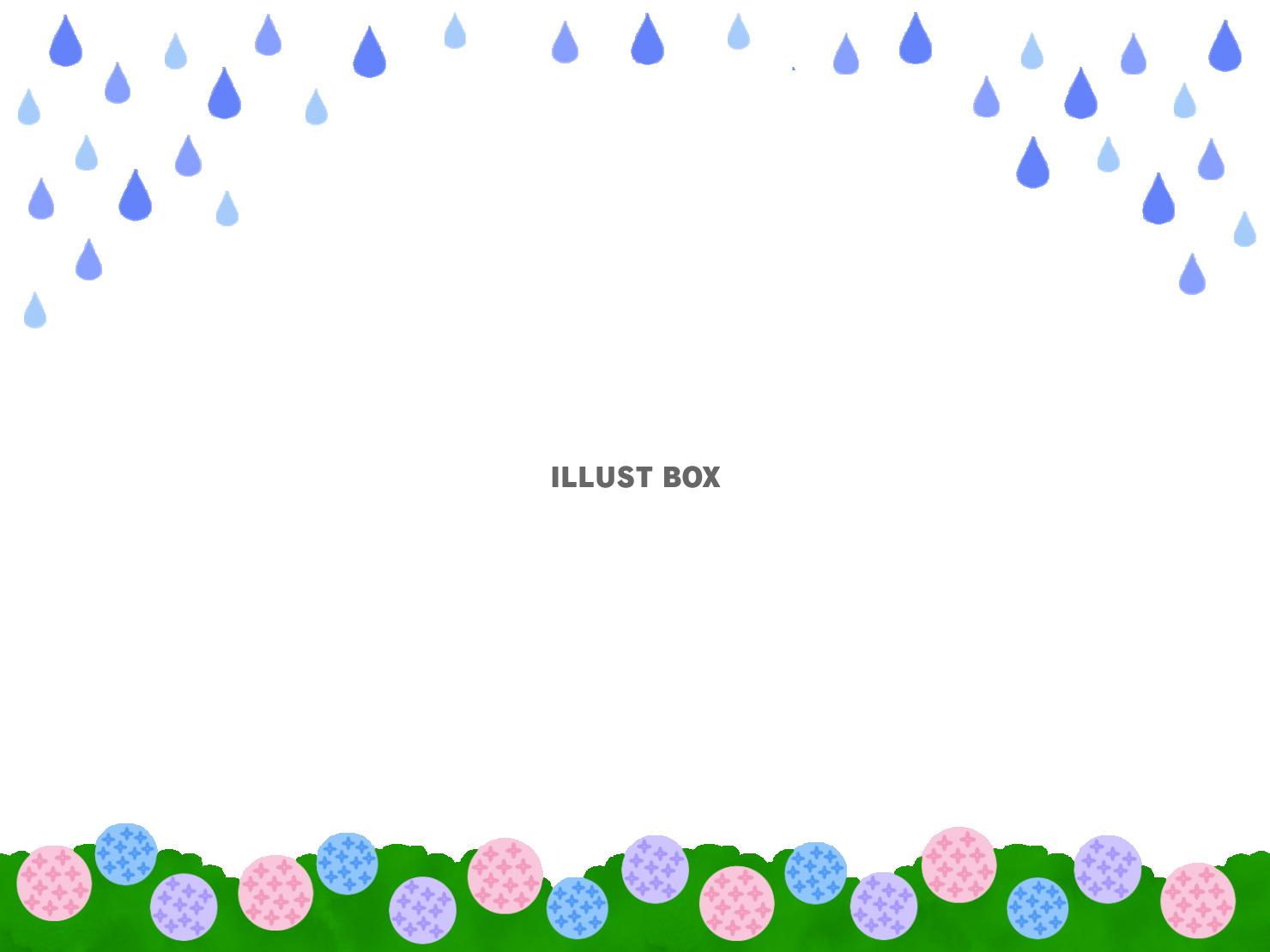 紫陽花　雨　フレーム