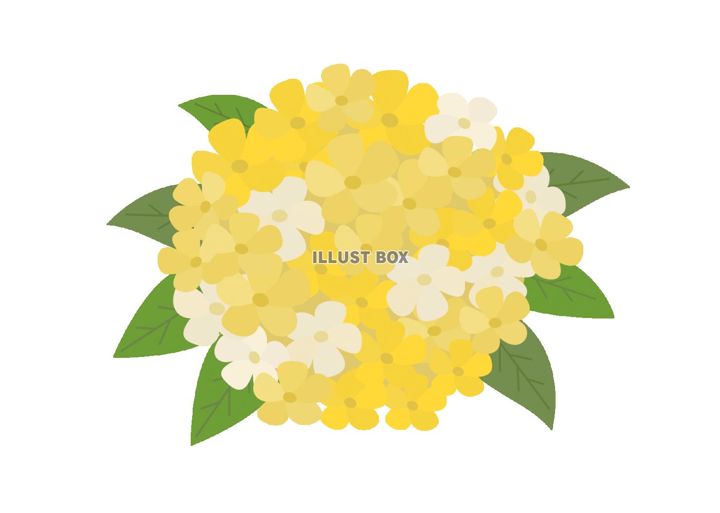 黄色の花のブーケ