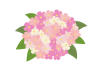 ピンクの花のブーケ