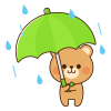 傘をさすクマ　雨