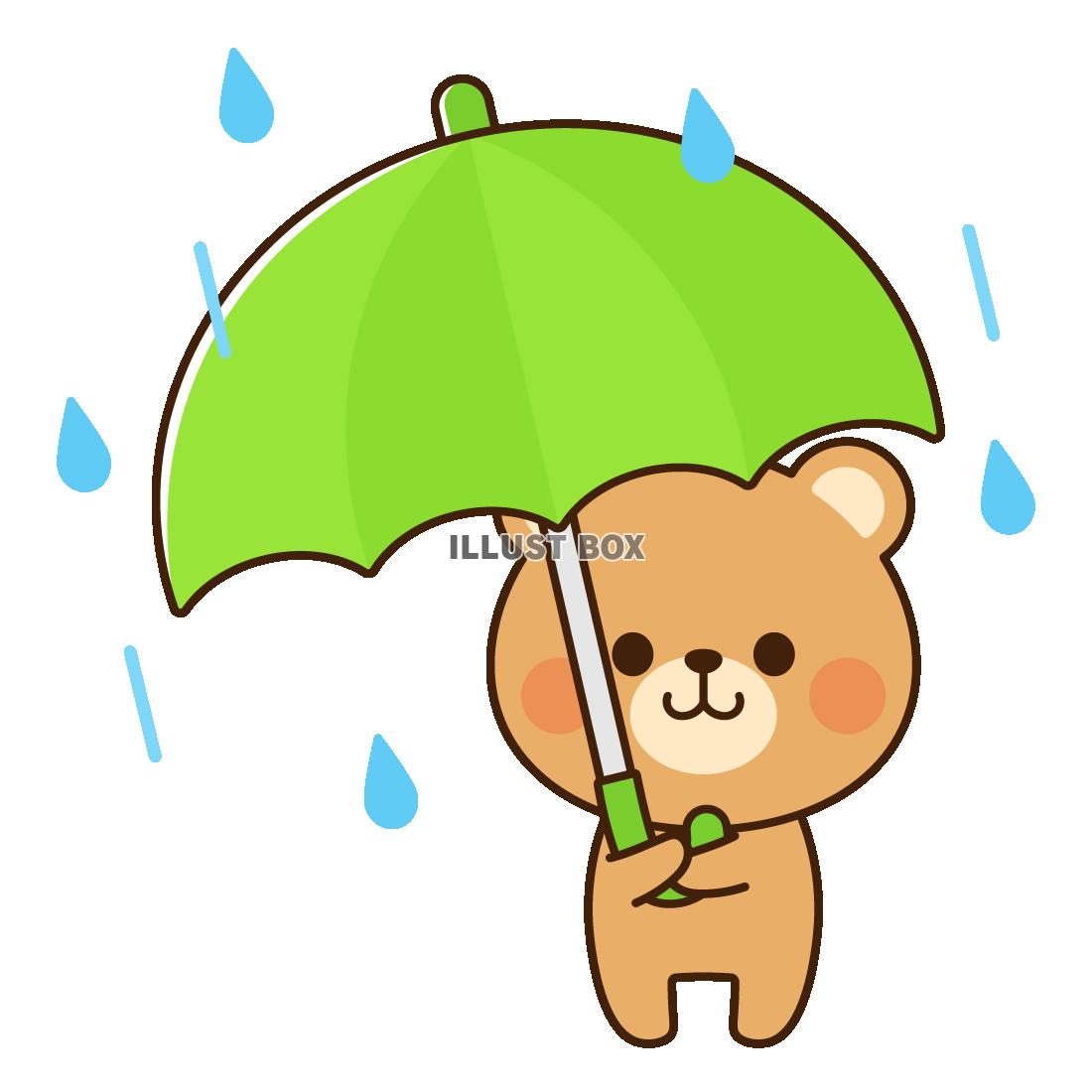 傘をさすクマ　雨