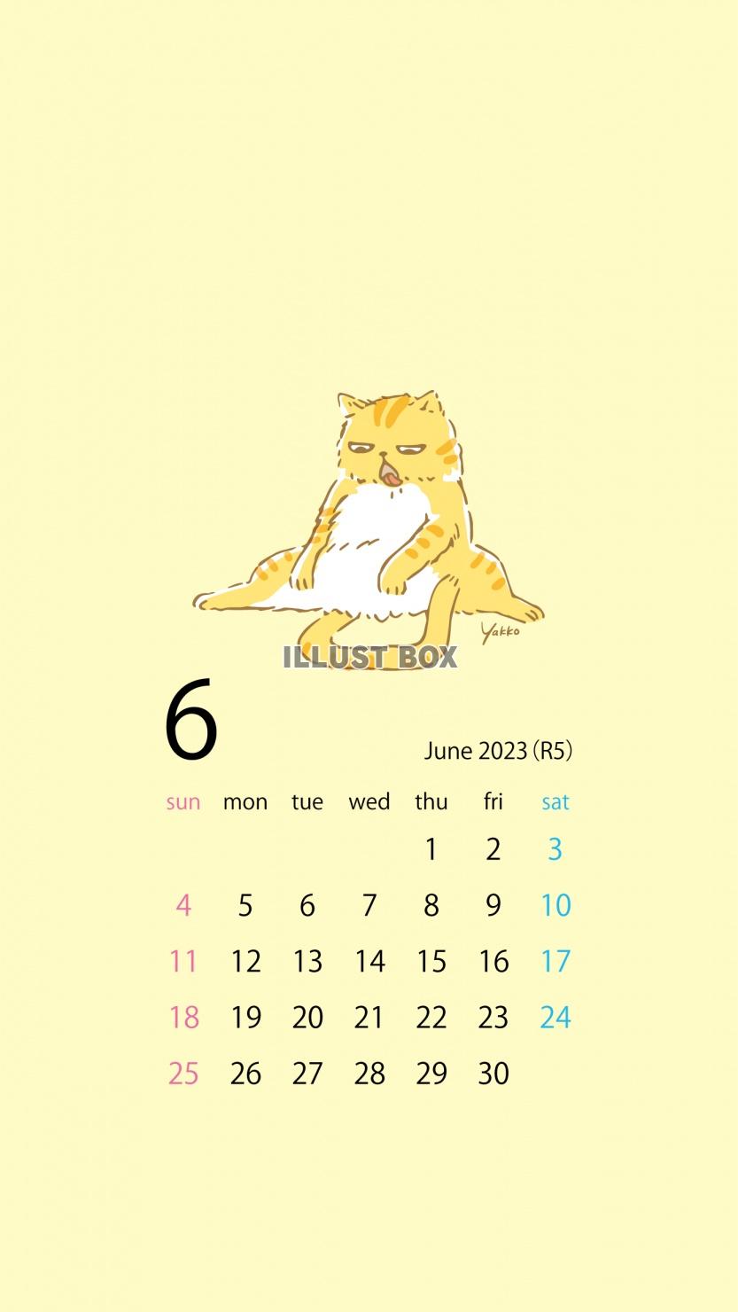 ぽっちゃり猫のスマホ壁紙カレンダー2023年6月