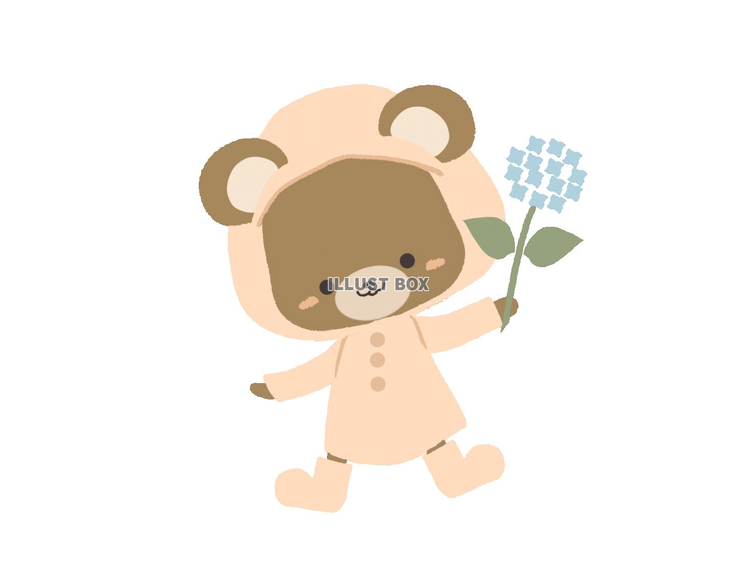 紫陽花を持つクマのイラスト　線なし